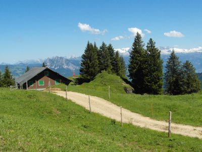 Wanderweg zum Berggasthof Burgeist am Vierwaldstttersee