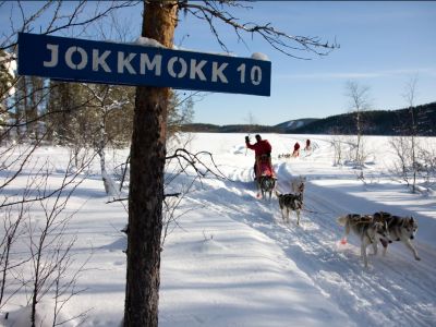 Die Hundeschlittenfahrt findet in der Gegend bei Jokkmokk statt (Foto: Jokkmokkguiderna)