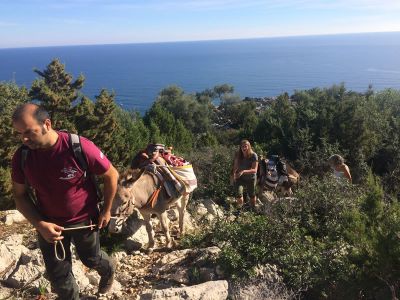 Eseltrekking Sardinien