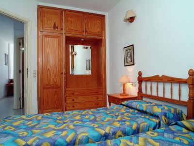 delfin- und walbeobachtung kanaren