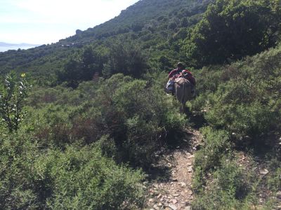 Wandern ohne Gepck Familienurlaub