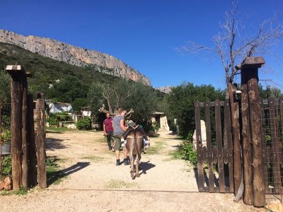 Typische Hirtenunterkunft Santa Maria Navarrese 