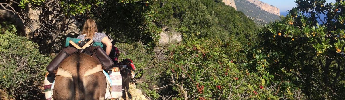 Eseltrekking mit Kindern Mittelmeer Sardinien