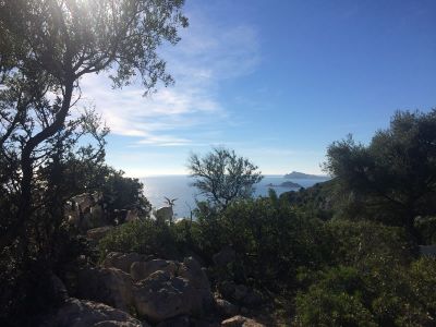 Gruppen Eseltrekking mit Familien