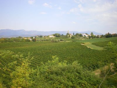 Weinberge von Bassano del Grappa bei Wandern mit Gepcktransport