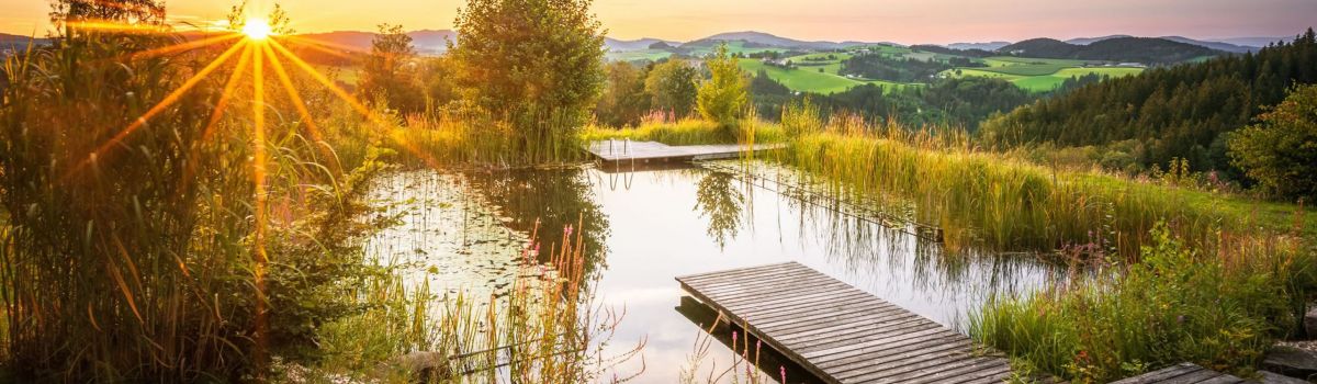 yoga urlaub auszeit muehlviertel altenfelden kleebauerhof sterreich