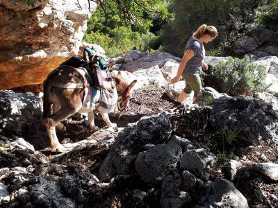 Mittelmeer Eselwandern