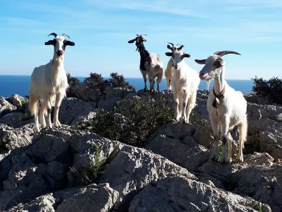 Natururlaub fr Familien Italien