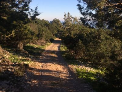 Wanderurlaub mit kleinen Kindern